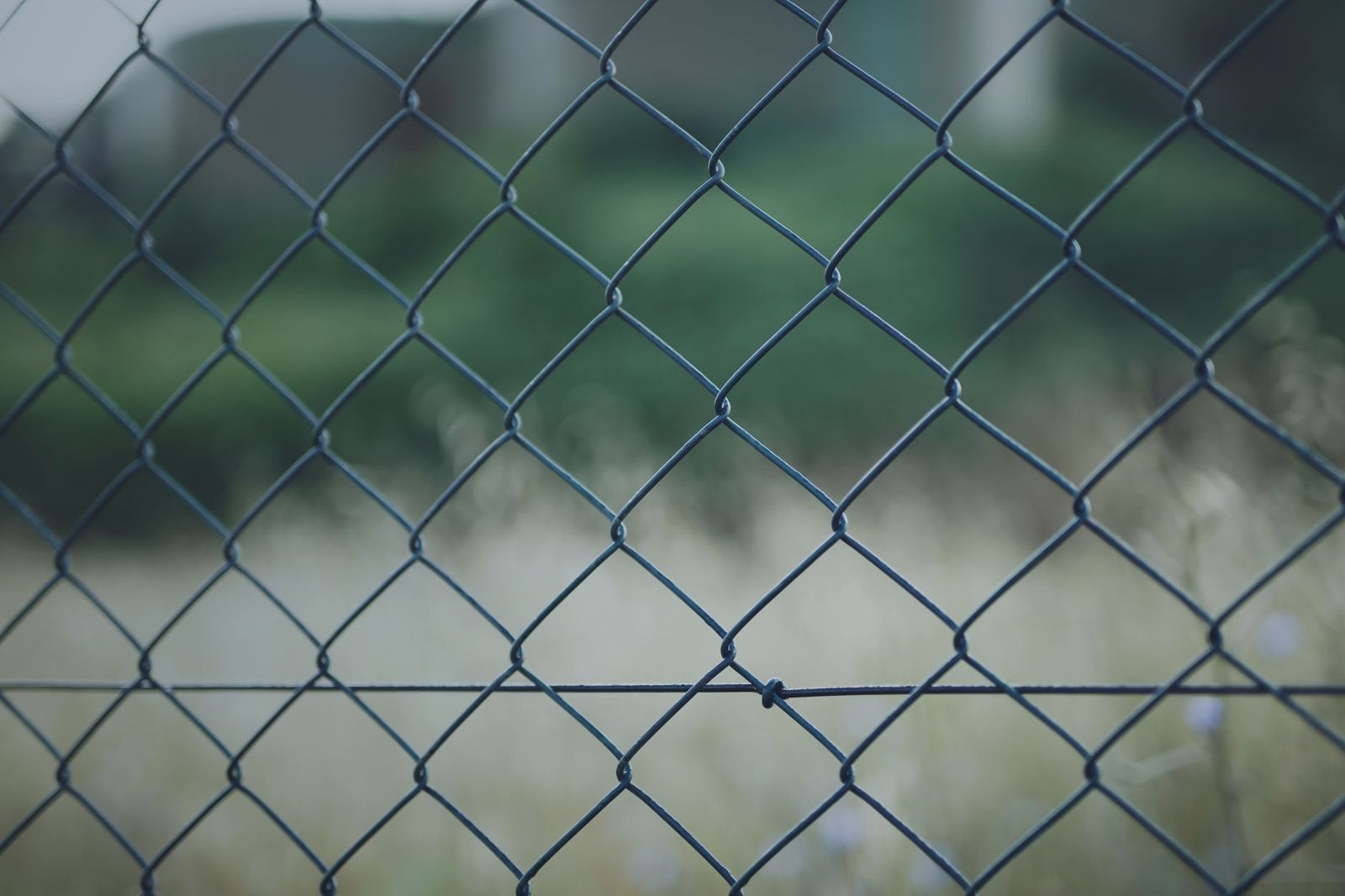 Close-up of grey chain-link fence mesh with a blurred green field behind