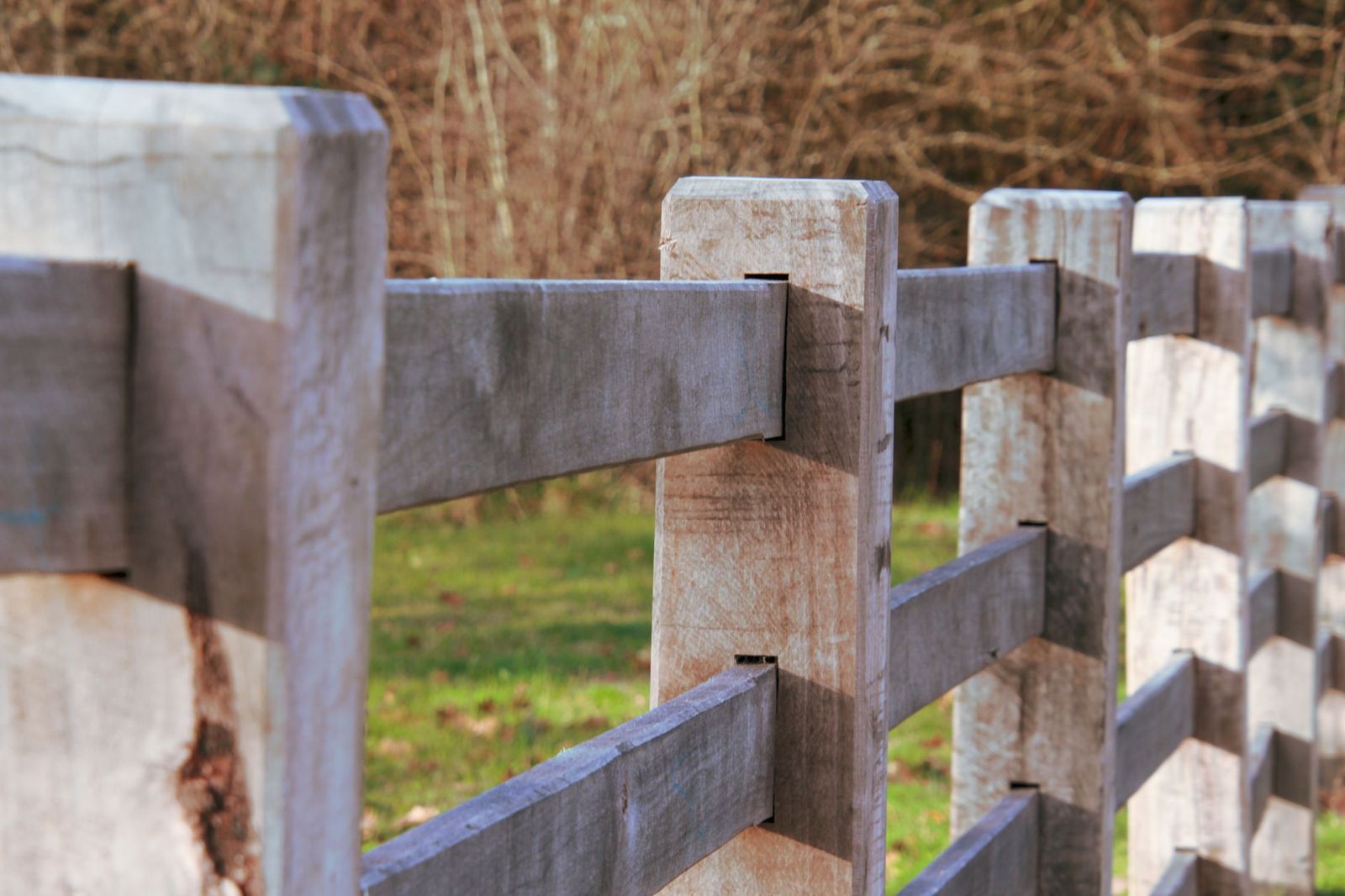 Weathered wooden fence posts and rails in a row, textured grain in sharp focus against a blurred field