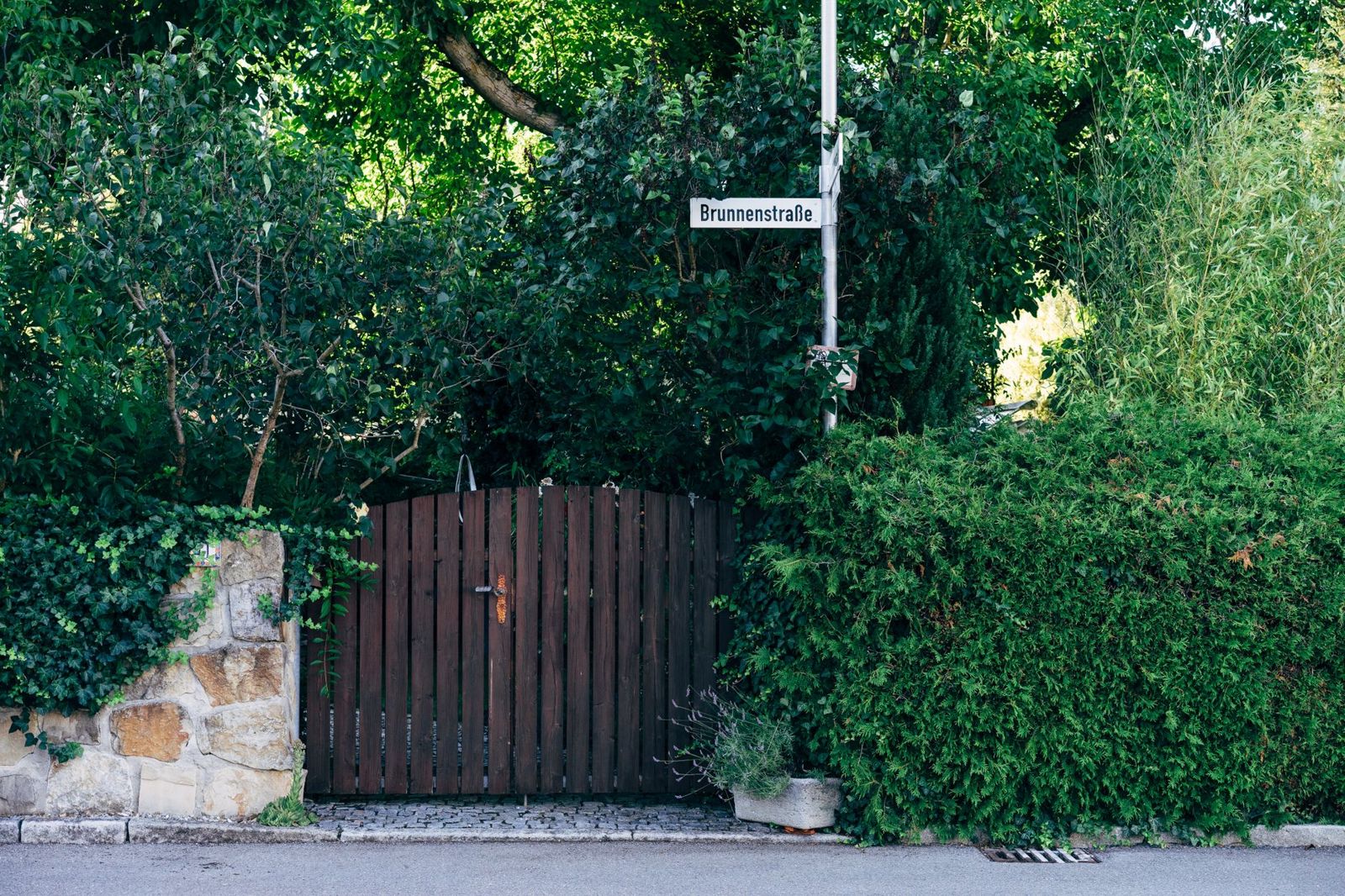 Dark wooden arched walk gate set into a stone wall and thick green hedge beside a street sign